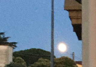 luna