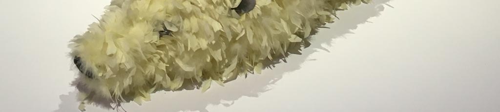 Orsi e altri animali