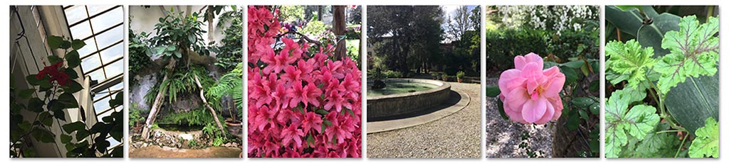 Il giardino dei semplici