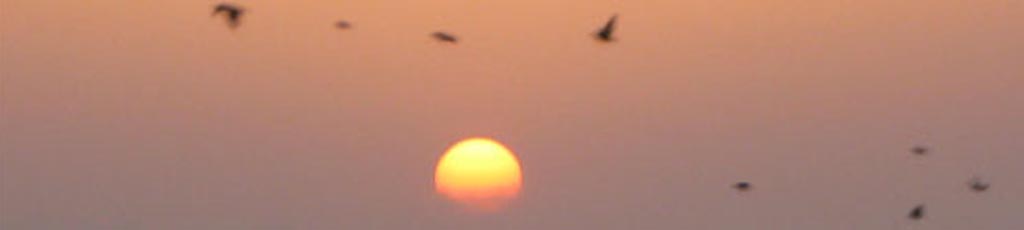 14 luglio 2009