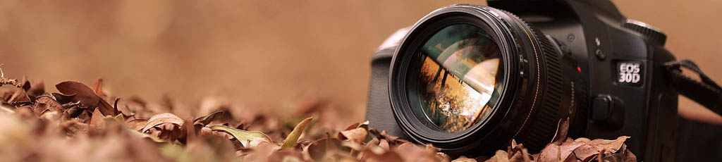 Fotografie