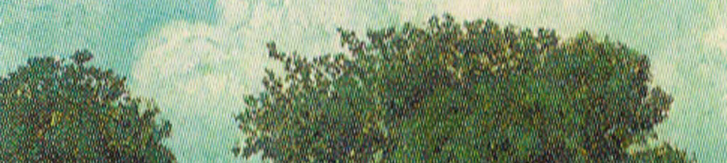 17 maggio 2009