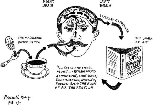 Illustrazione che rappresenta i processi mentali di Marcel Proust, suddividerli tra cervello destro e sinistro, evidenziando l'interazione tra memoria, sensazioni e espressione letteraria, con riferimento alla famosa scena della madeleine immersa nel tè.