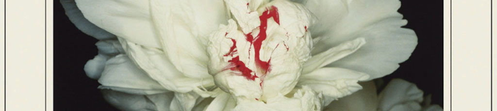 Han Kang: La vegetariana