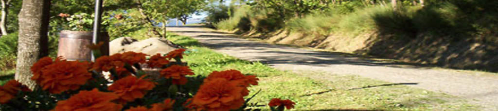 26 marzo 2009