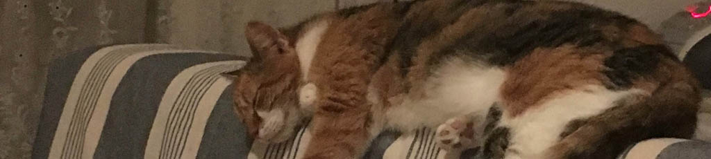 Questa sono io!