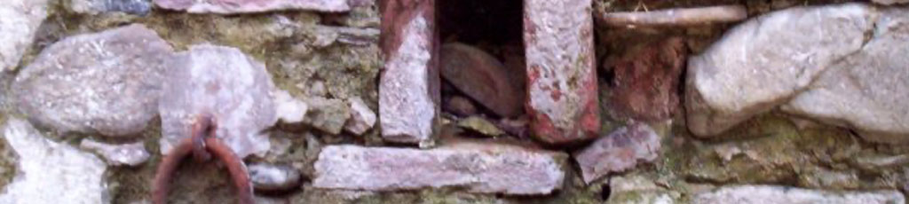 24 gennaio 2009