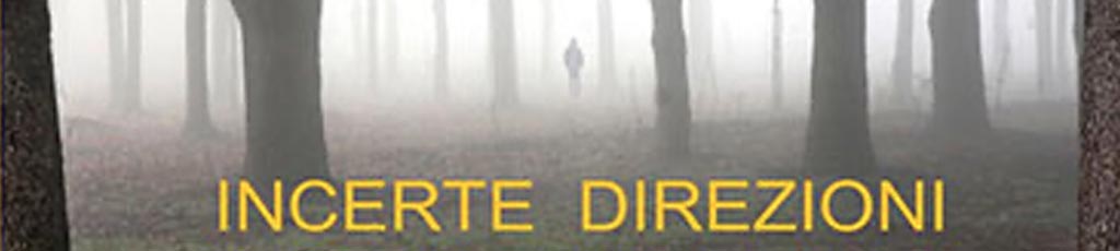 Giovanni Antonio Mocchi: “Incerte direzioni”