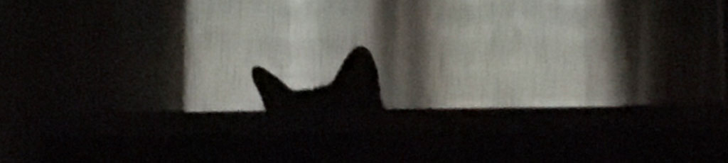 Presenze notturne