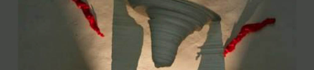 L’araba fenice