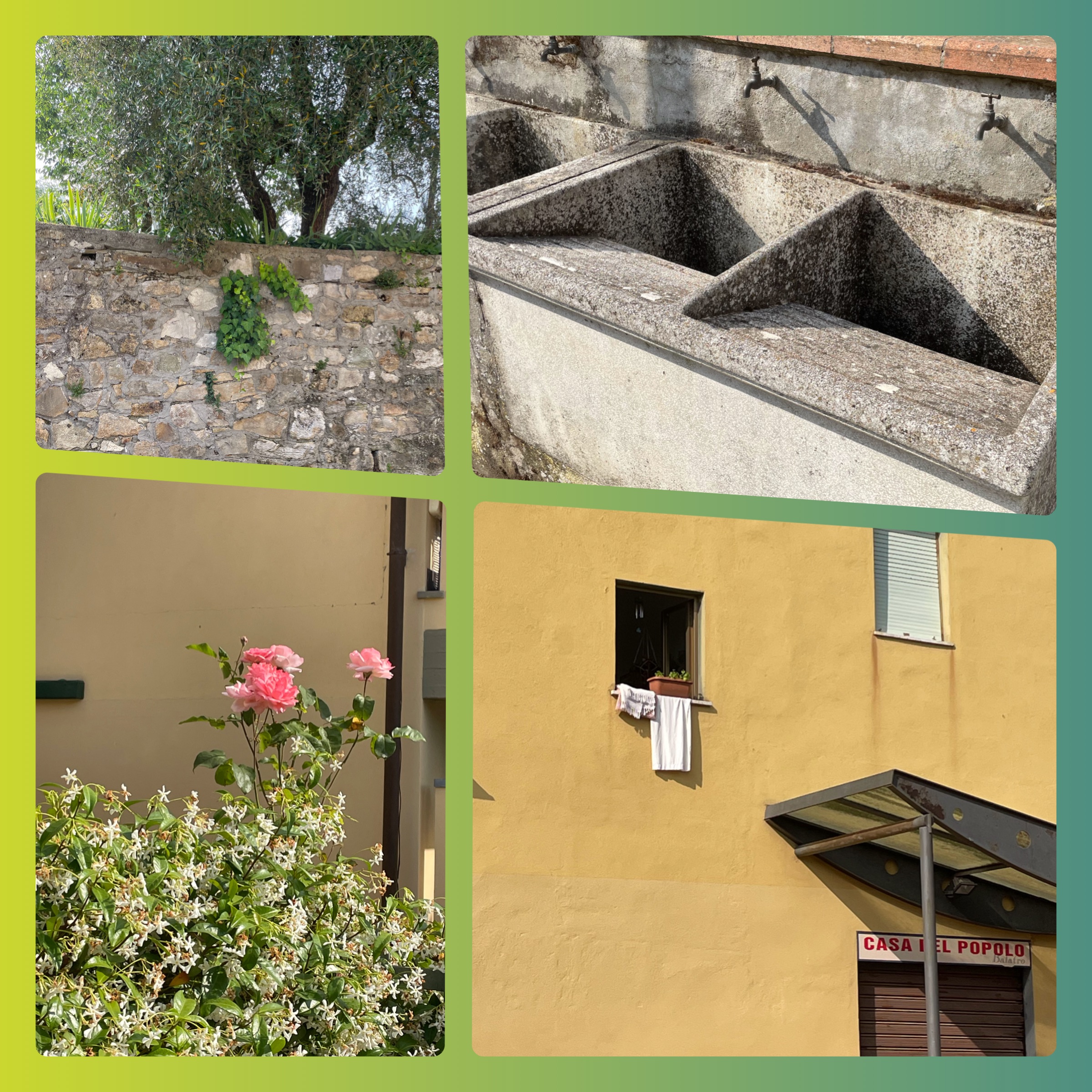 Un muro in pietra con vegetazione