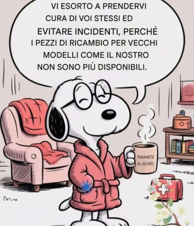 Vi esorto a prendervi cura di voi stessi ed evitare incidenti, perché i pezzi di ricambio per vecchi modelli come il nostro non sono più disponibili.