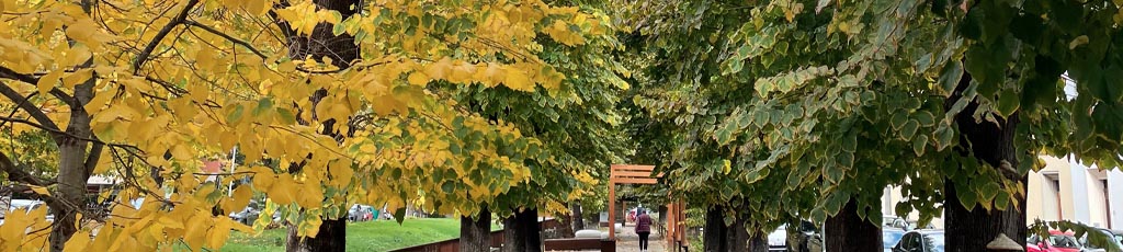 Autunno