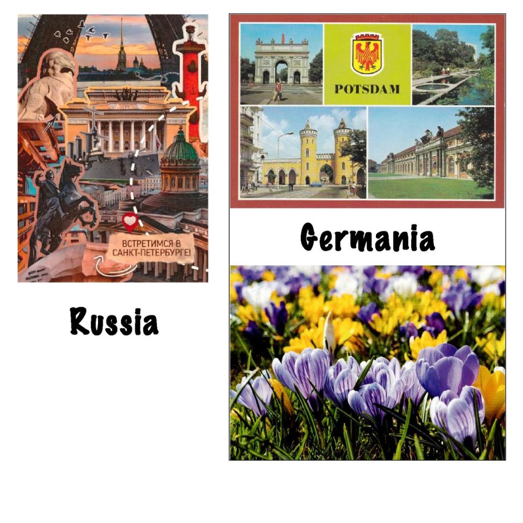 Image gallery image